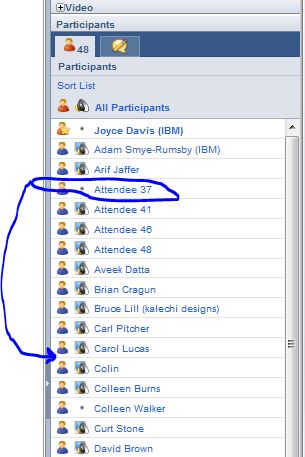 Image:LotusLive to Webdialogs meeting glitch
